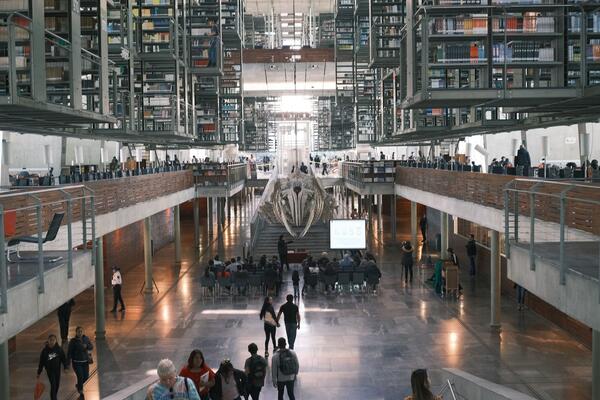 Biblioteca Vasconcelos
